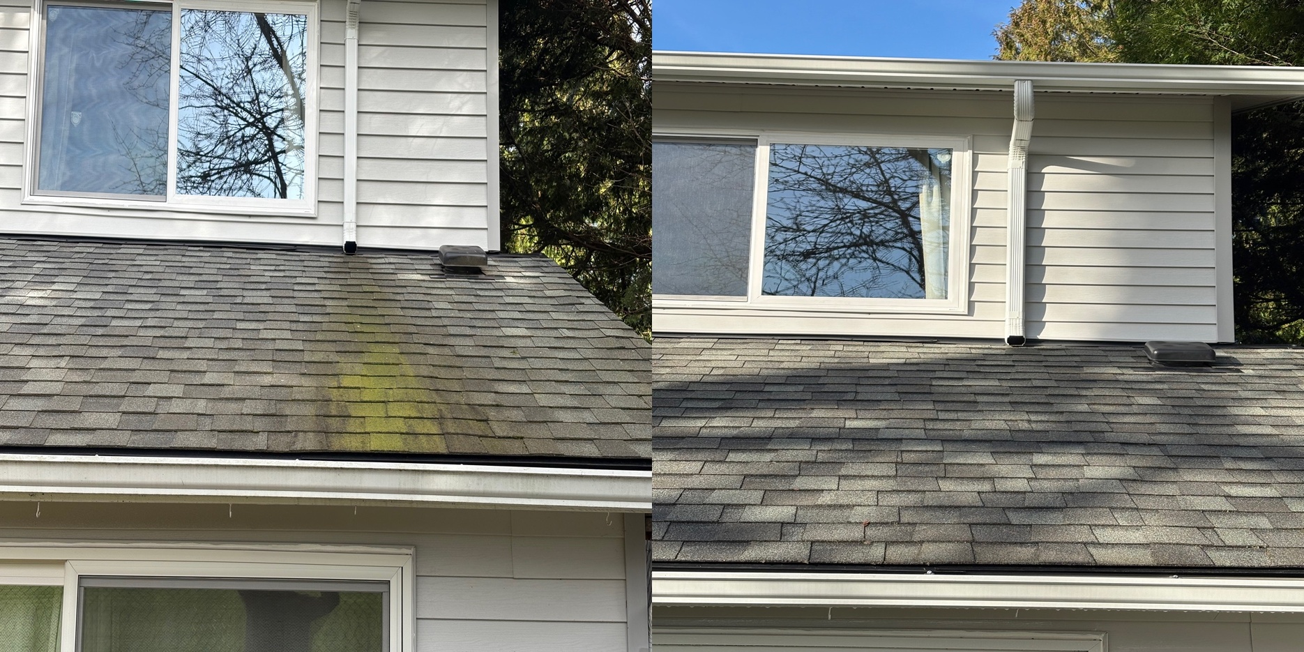 Roof cleaning before and after - moss and algae removal